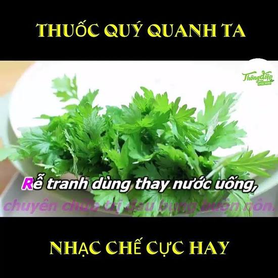 Nhạc Chế "28 Bài Thuốc Nam"