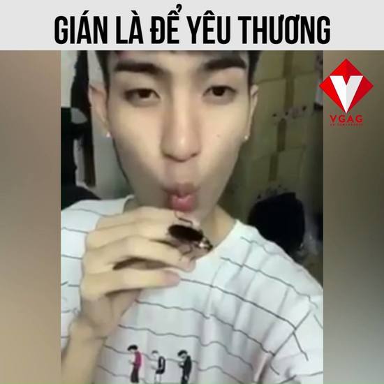 Ấn tượng với thanh niên yêu gián nhất hệ mặt trời